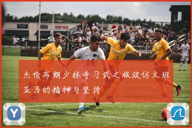 杰伦布朗少林寺习武之旅效仿文班亚马的精神与坚持
