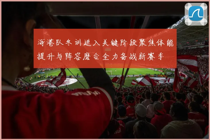 海港队冬训进入关键阶段聚焦体能提升与阵容磨合全力备战新赛季